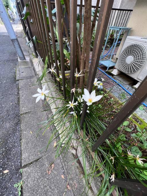 東京芳华驿站 Leilighet Tokyo Eksteriør bilde